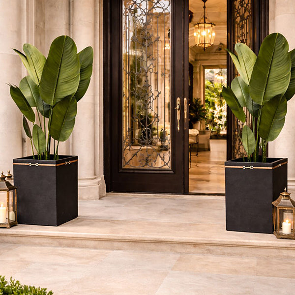 Mayfair Planter (with Banana Plant)