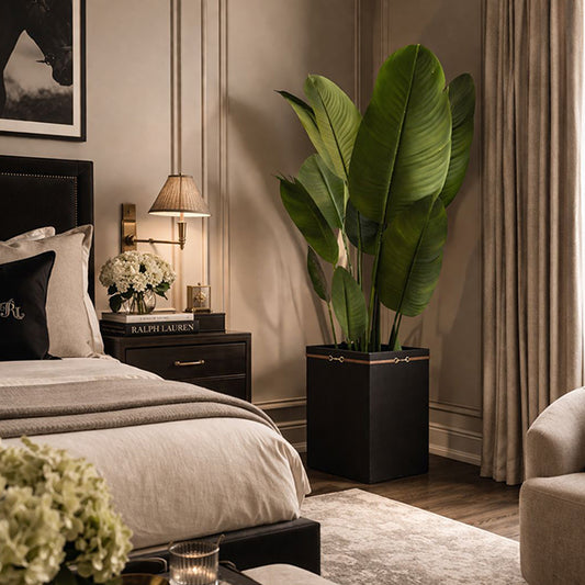 Mayfair Planter (with Banana Plant)